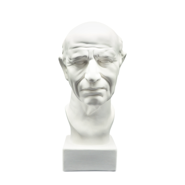 Гипсовая модель Голова римлянина